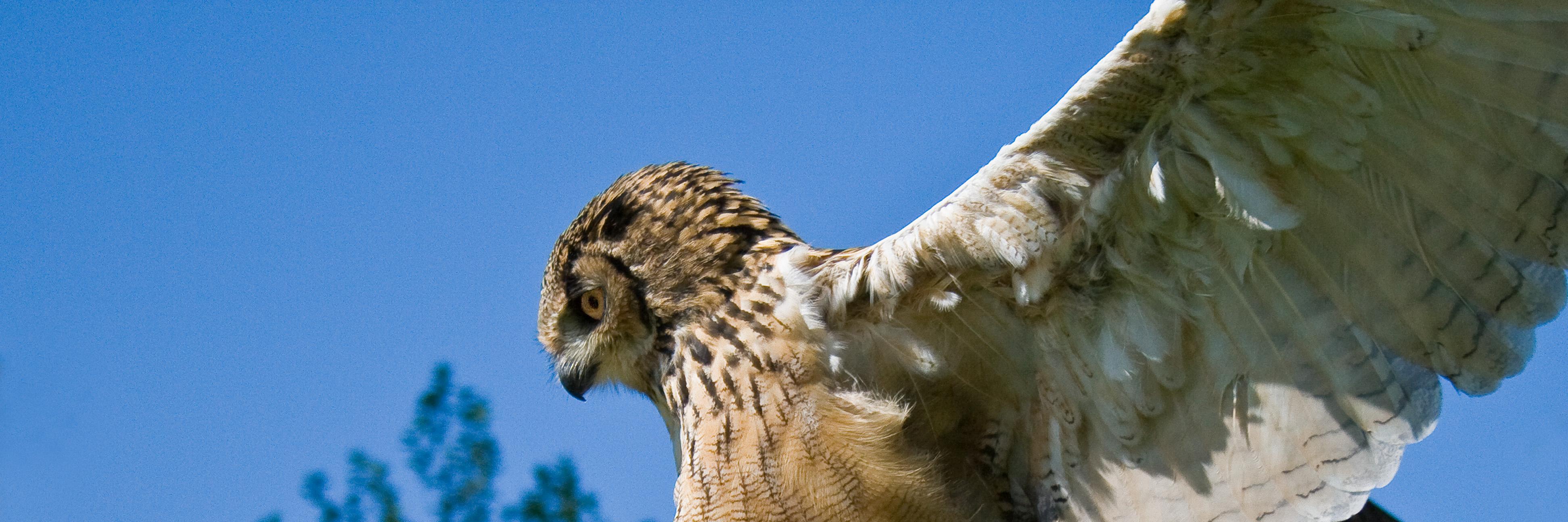 TimFurlong's profile banner image