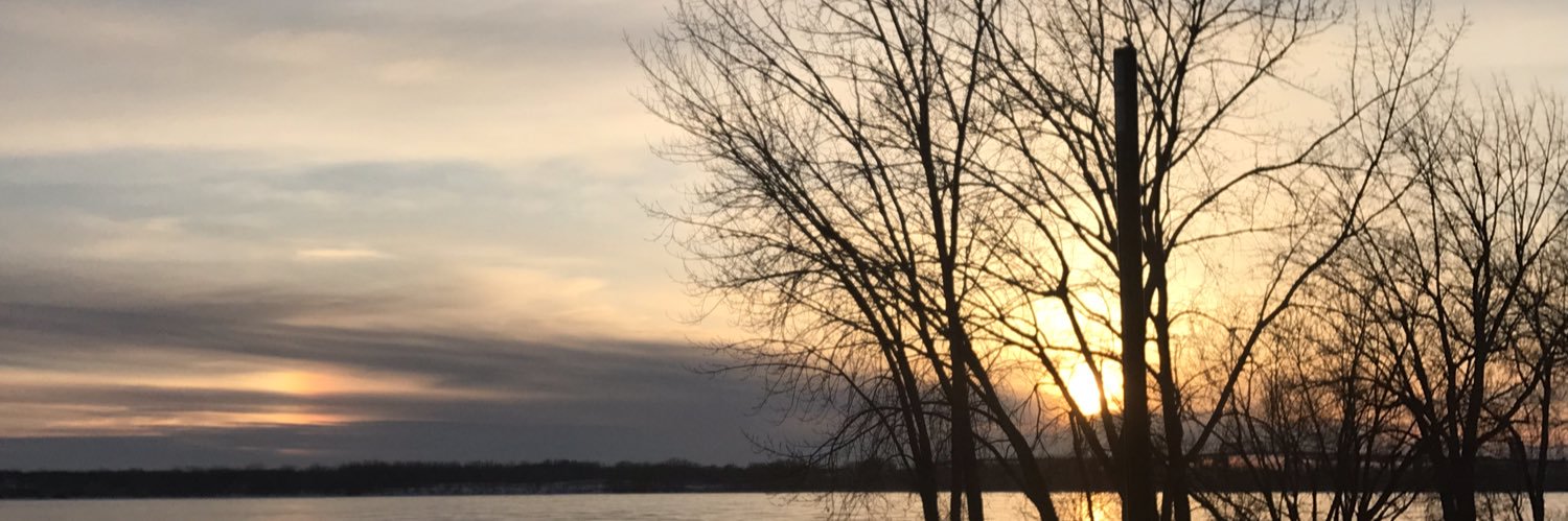 DebbieScalzo's profile banner image