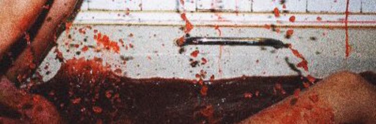 RiOTSREALM's profile banner image