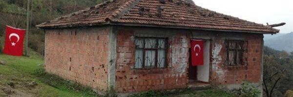 tefece01's profile banner image