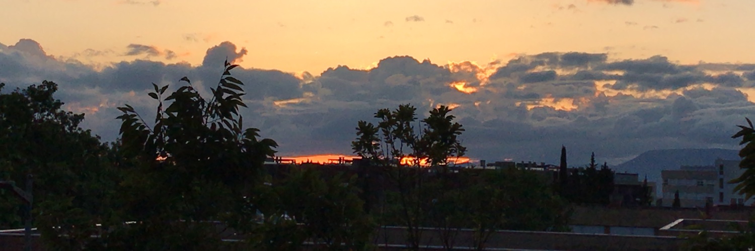 CarmeloMuoz1's profile banner image