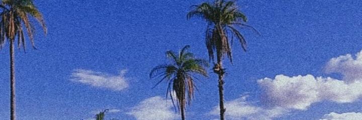 FernandaESSants's profile banner image