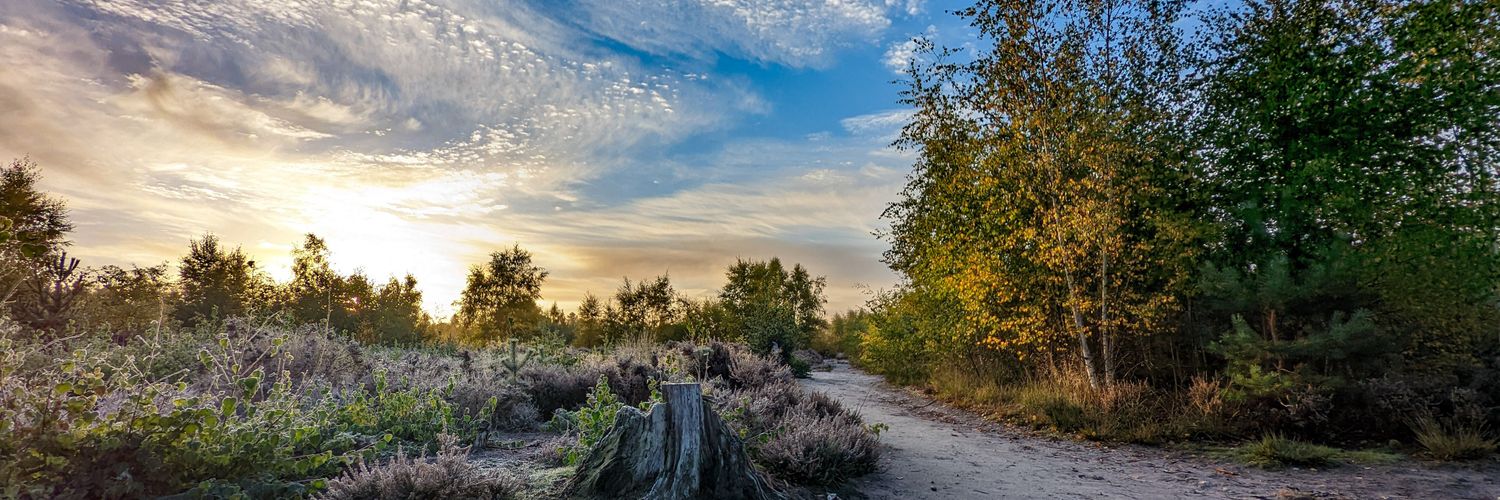 Anthony Hatter 🇺🇦 banner