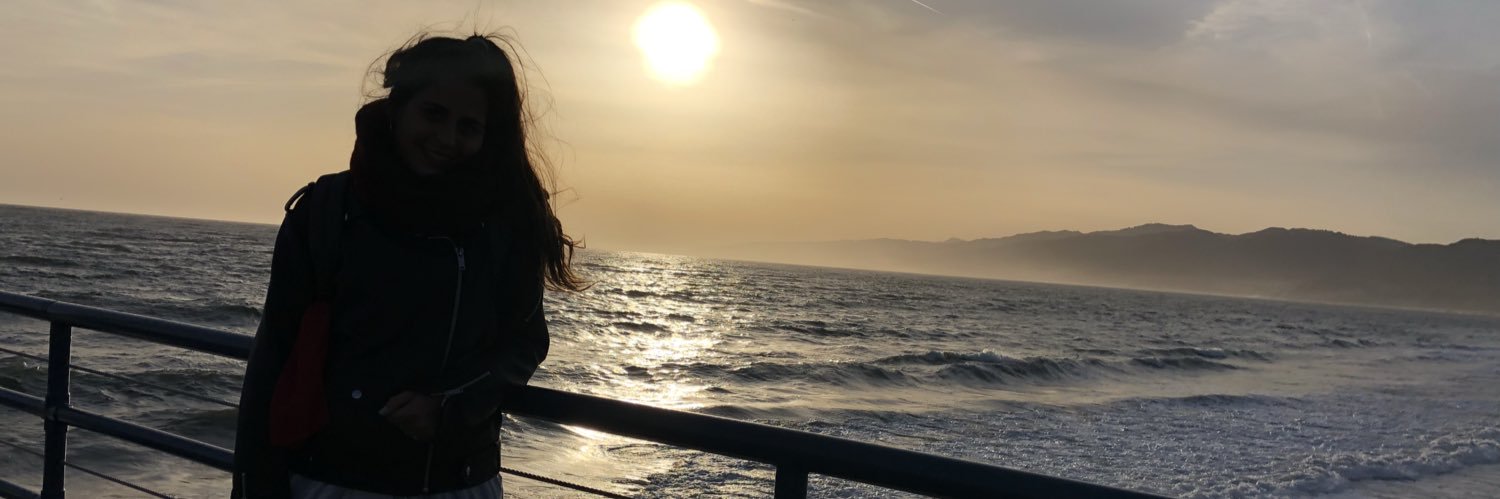 flopymoraes's profile banner image