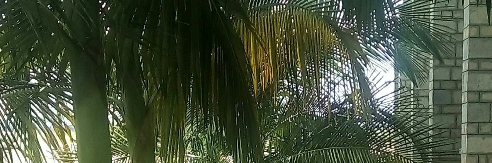 Flic🥖🍞🥨🥐🫓 banner