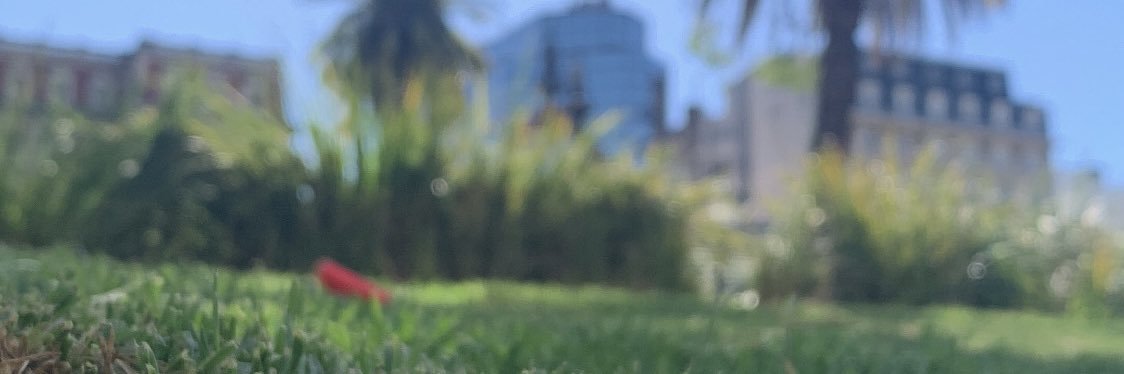 elcrech's profile banner image