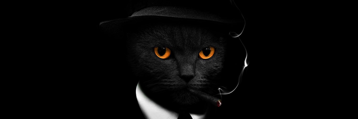 rickybeye's profile banner image