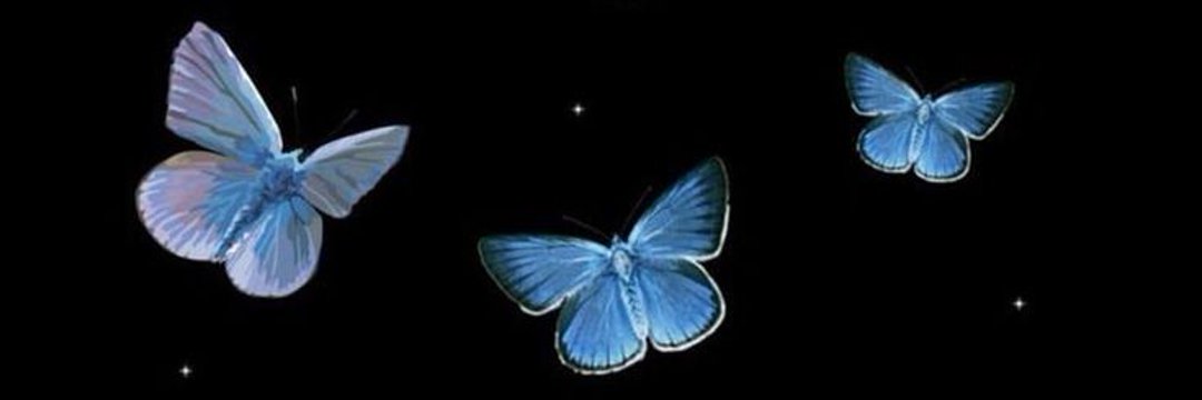 ೩𐒀೩೩Ꭿ banner