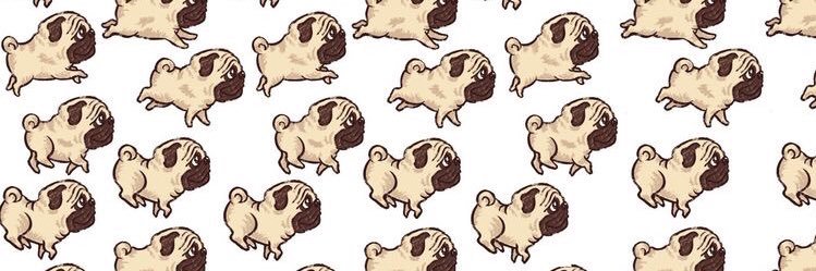 ohiosarah2's profile banner image