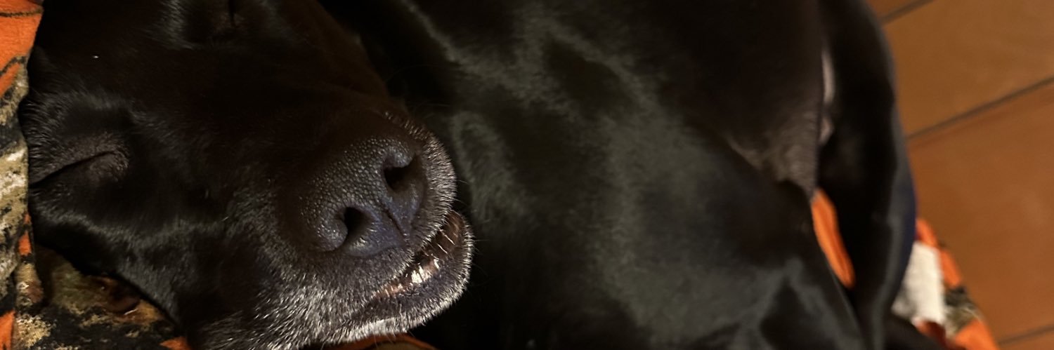 CreaganMaurice's profile banner image