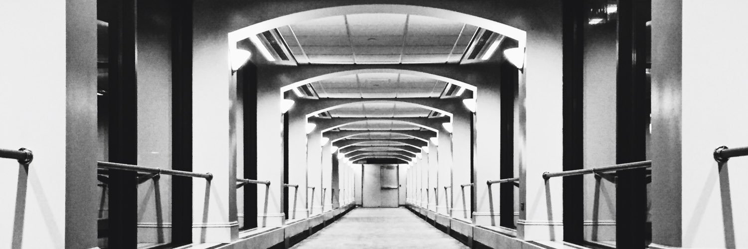 zedubode's profile banner image