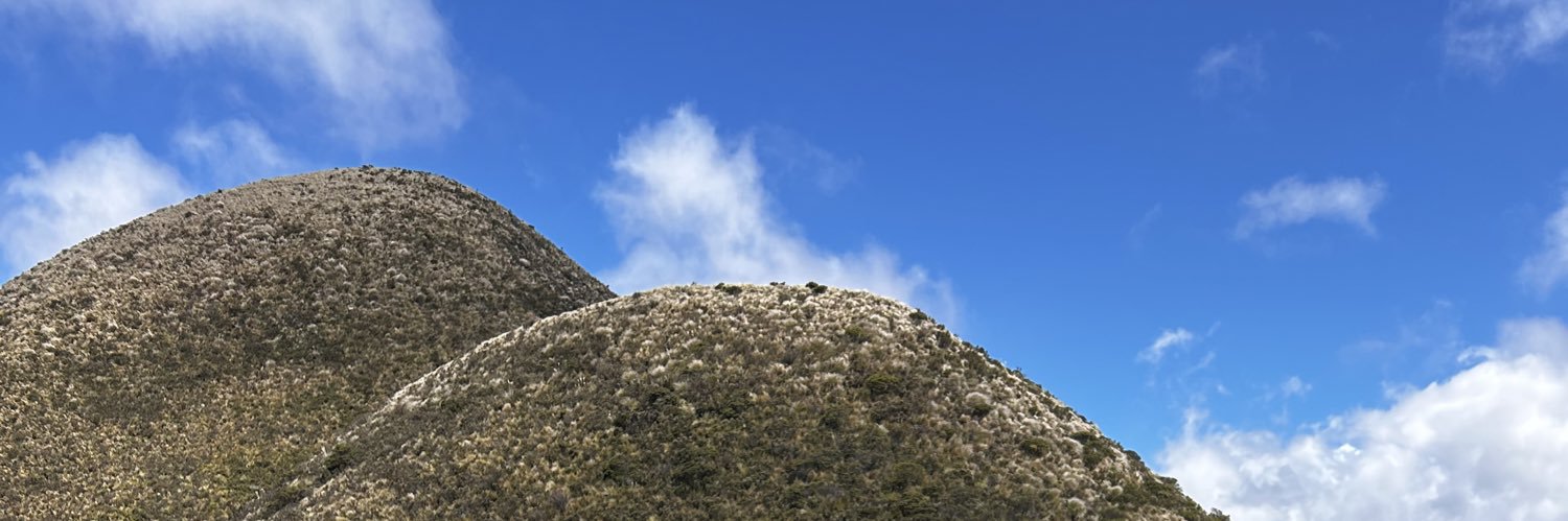 ARTEMISALALUNA1's profile banner image
