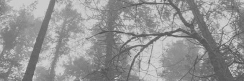 AlexitoMoon's profile banner image