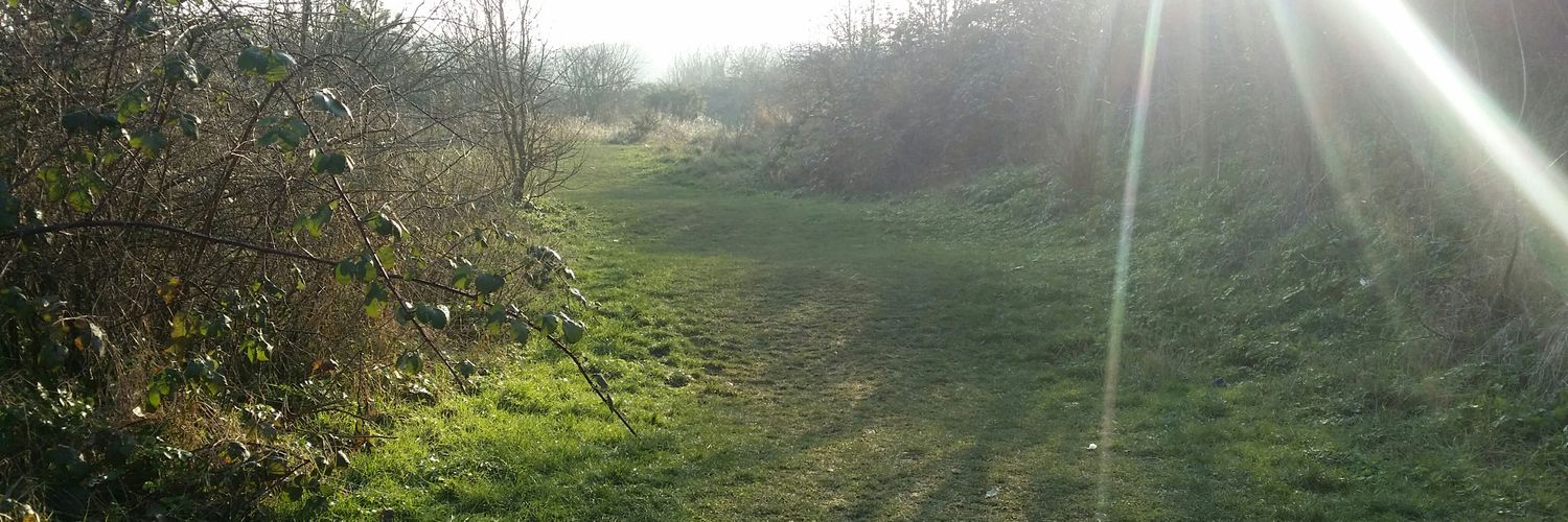SueShaw84's profile banner image