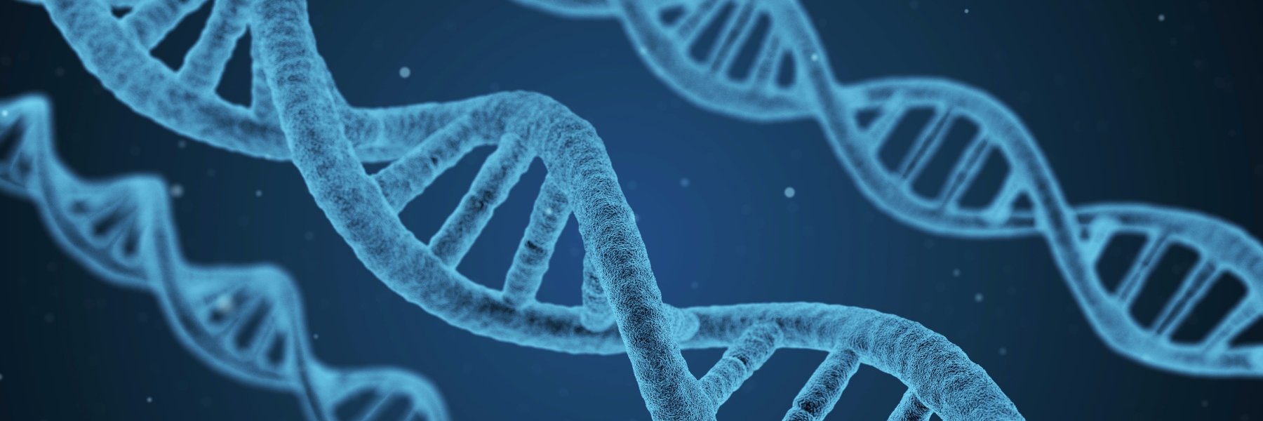 CitSciBio's profile banner image