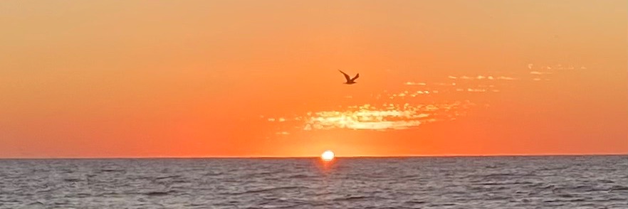 Old Cyber Guy banner