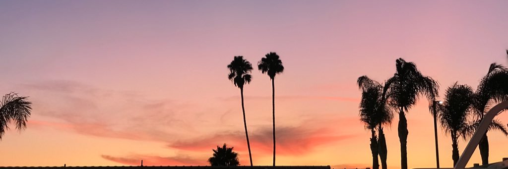lex_schroeder's profile banner image