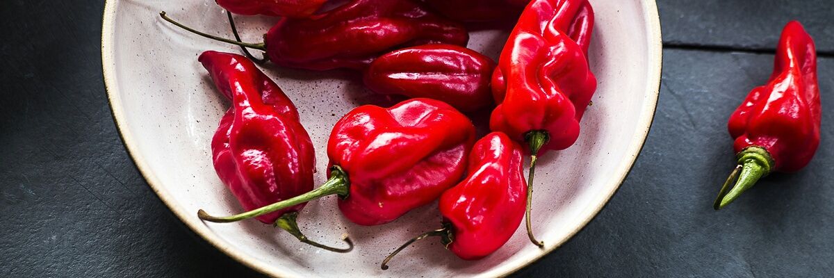 Restaurant Alto banner