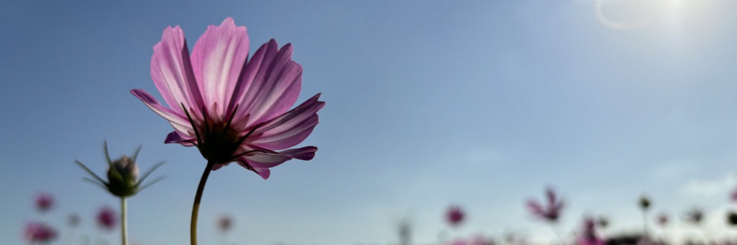 oame_1023's profile banner image