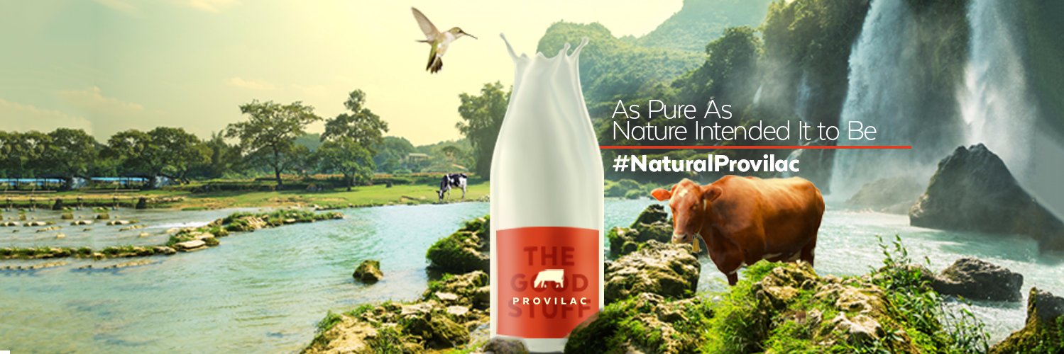 Provilac Milk banner