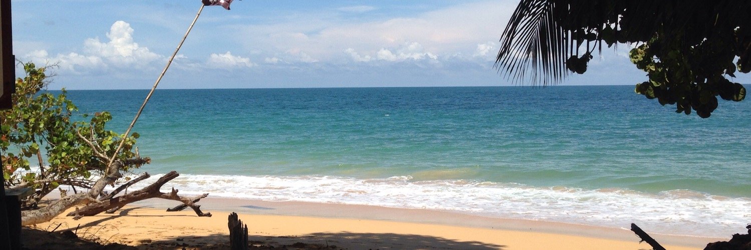 biancabayo's profile banner image