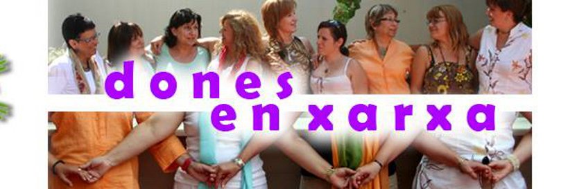 Vallès DEX banner