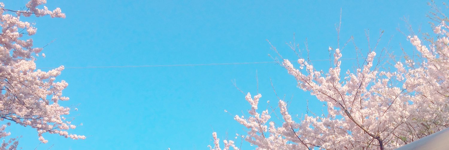 k_ebb_'s profile banner image