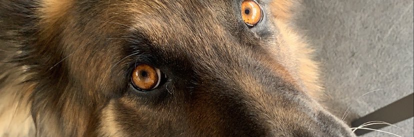 ValeRueness's profile banner image