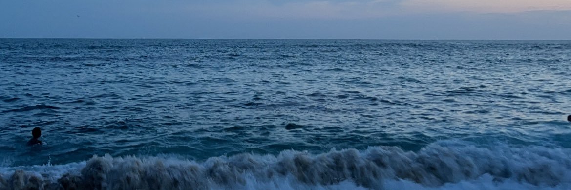 fflormc's profile banner image