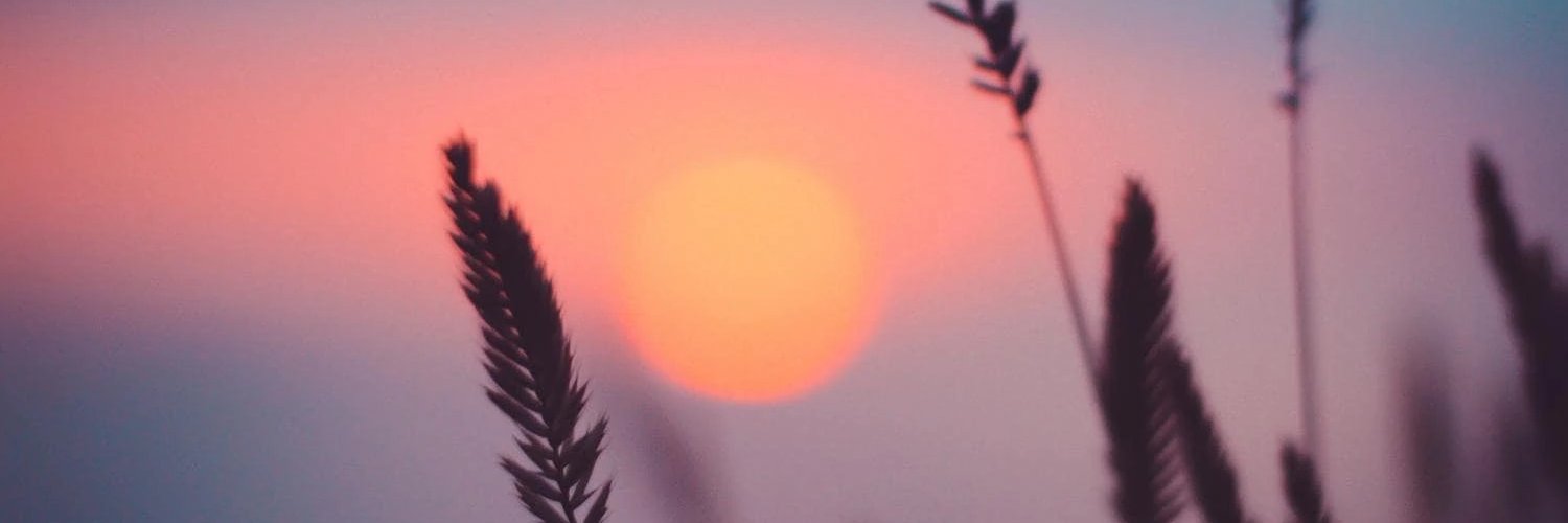 abihermo's profile banner image