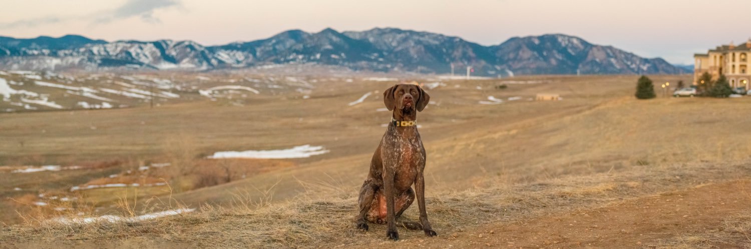 MatthewMurry's profile banner image