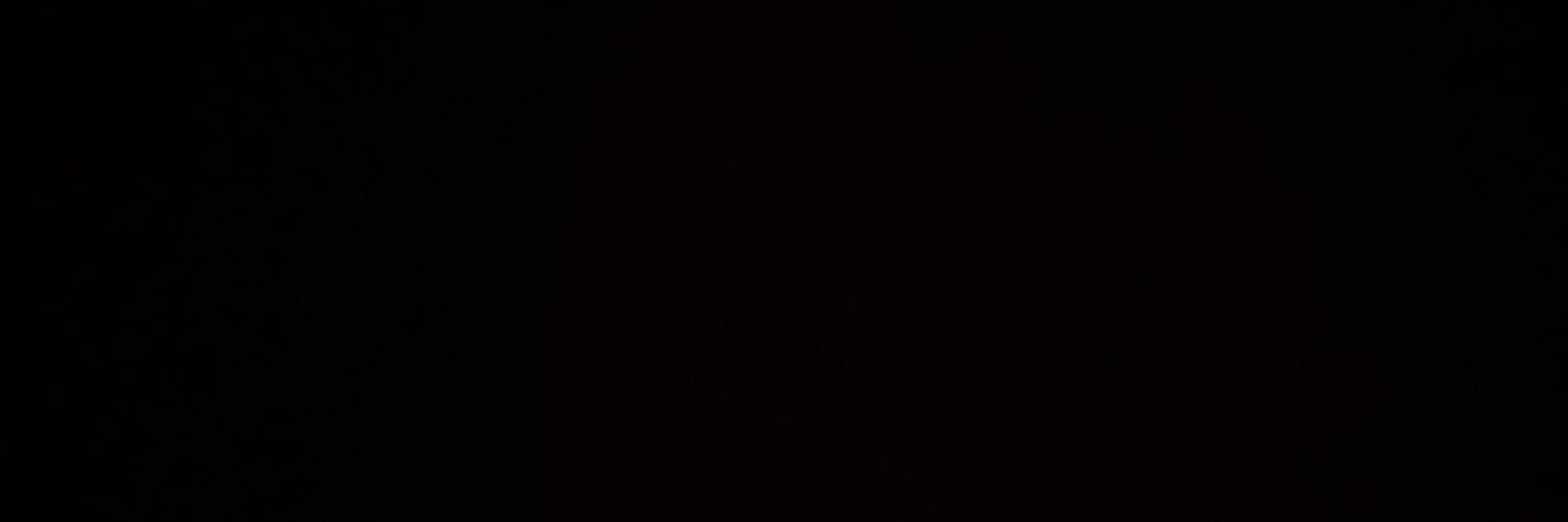 BeeSaxx's profile banner image