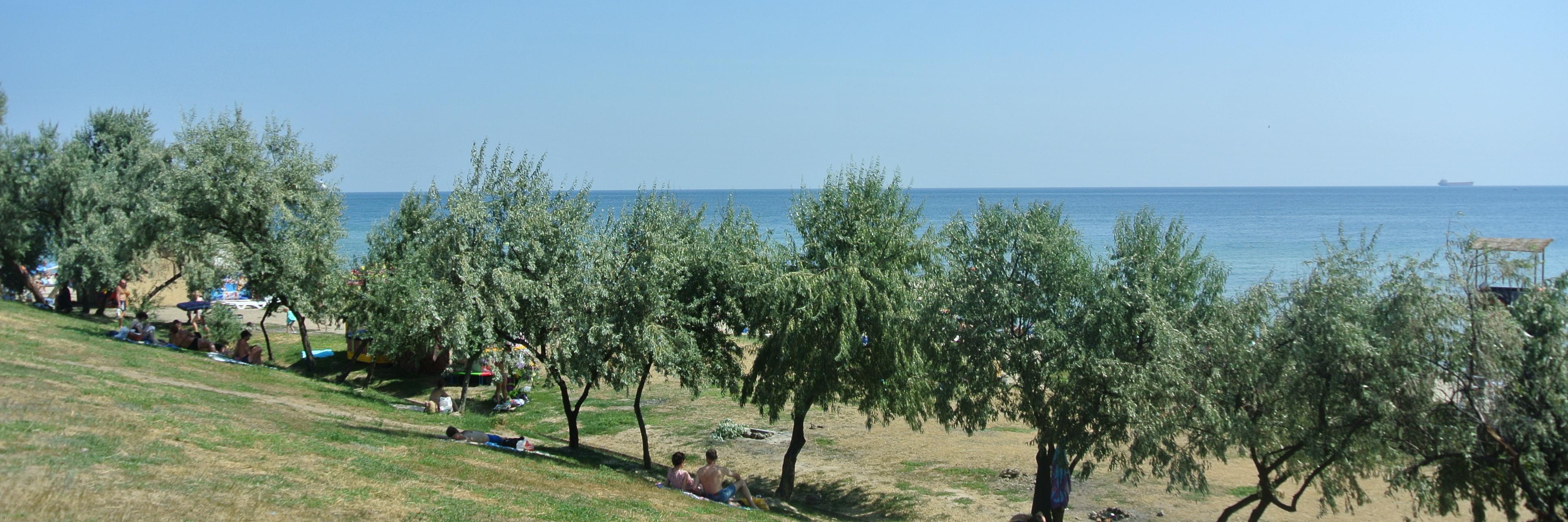 Dmytro Mytko 🇺🇦 banner