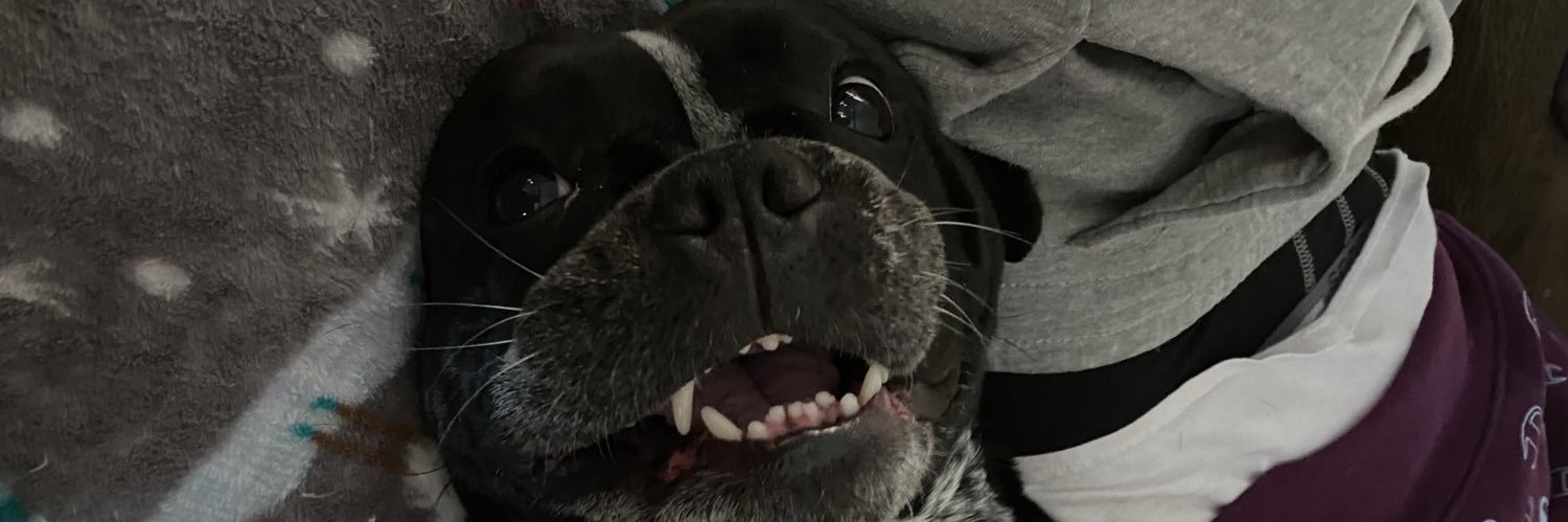 MackenzieHays's profile banner image