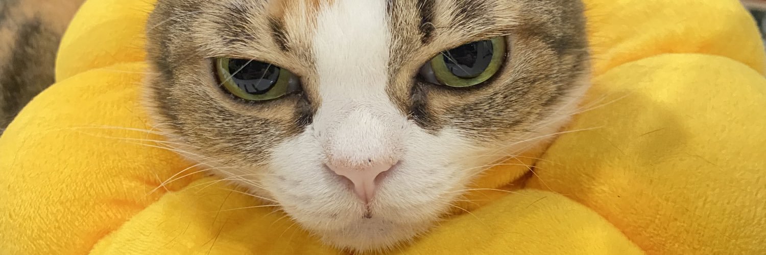 mod__ja's profile banner image