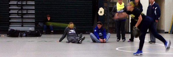 FastPitchOnline Profile Banner