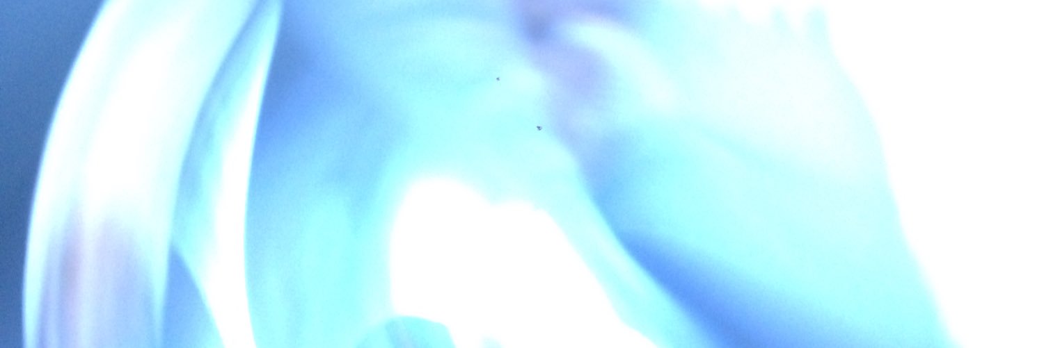 JanelleAnders's profile banner image