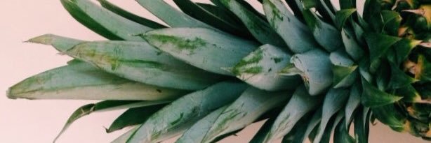 abilindsay_'s profile banner image