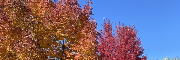 GbytheBook Profile Banner