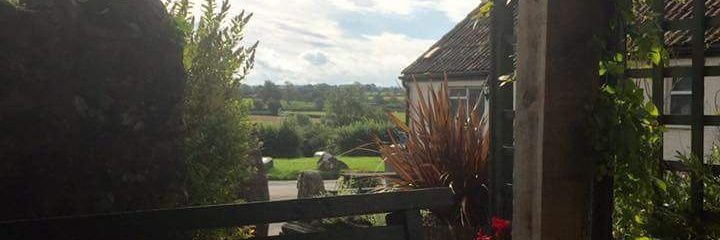 HintonRing's profile banner image