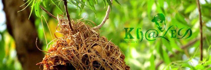 Kod07's profile banner image