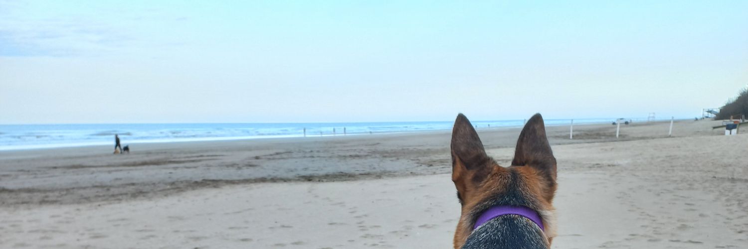 LauChurrupit's profile banner image
