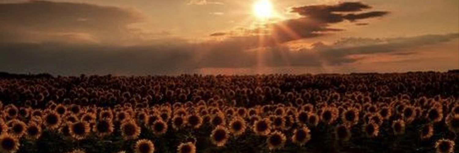 its_MsBrandNew's profile banner image