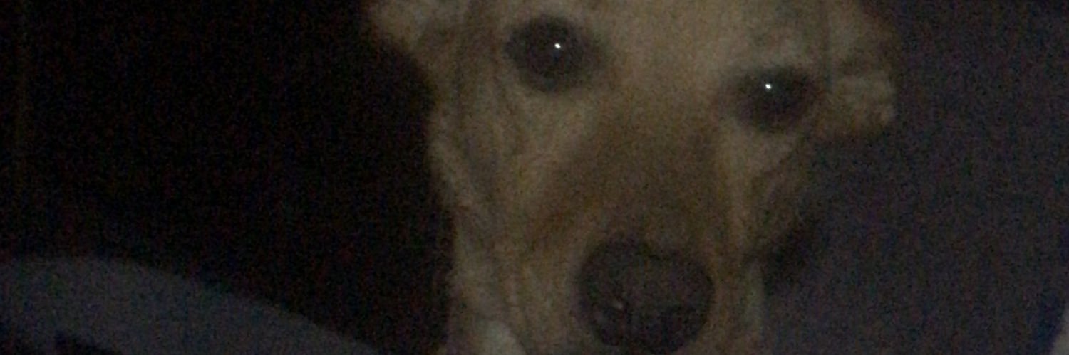 deadcito's profile banner image