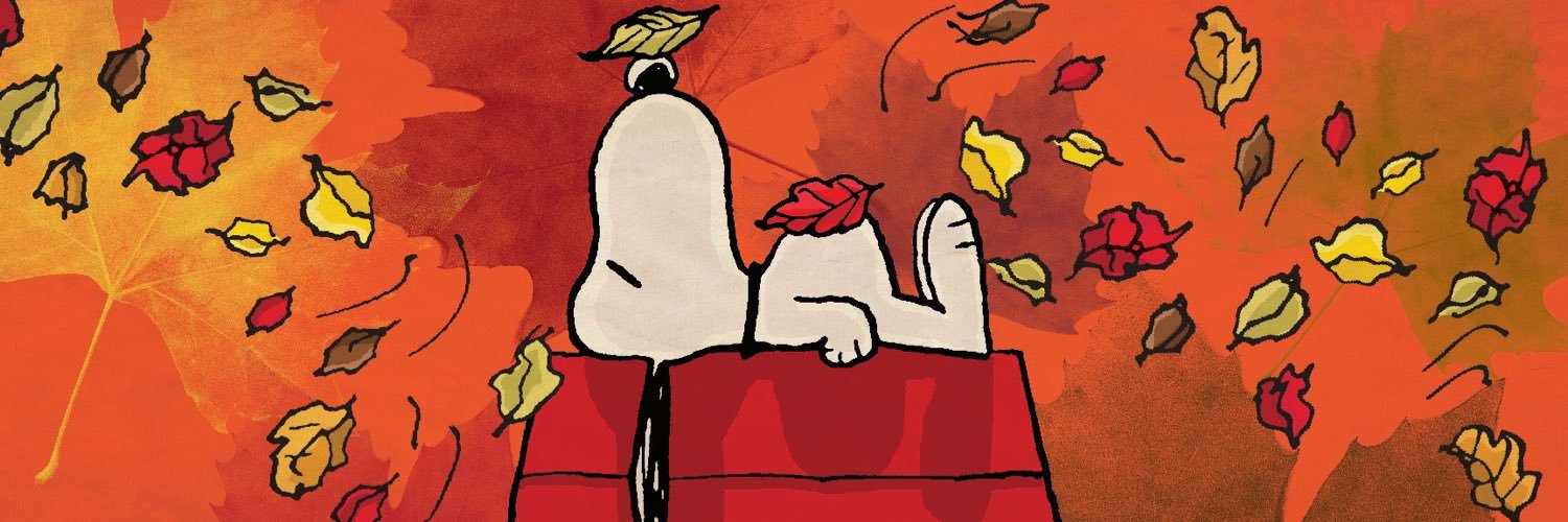 BrendaGallardoV's profile banner image