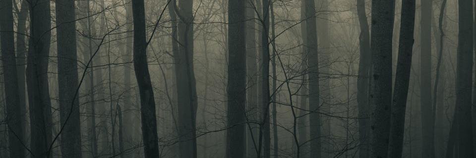 The Fourth Well banner