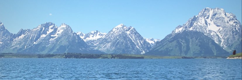 stephanitroese's profile banner image