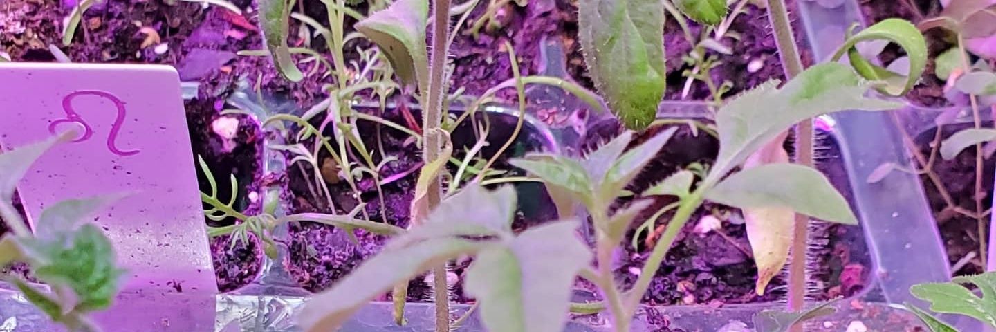 I'm not crying you're crying banner