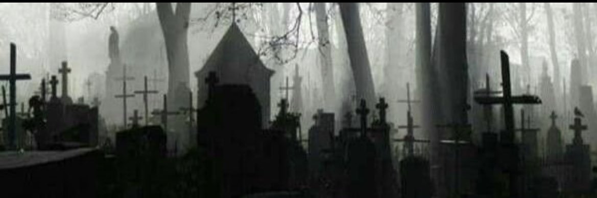 Aye_Toni's profile banner image