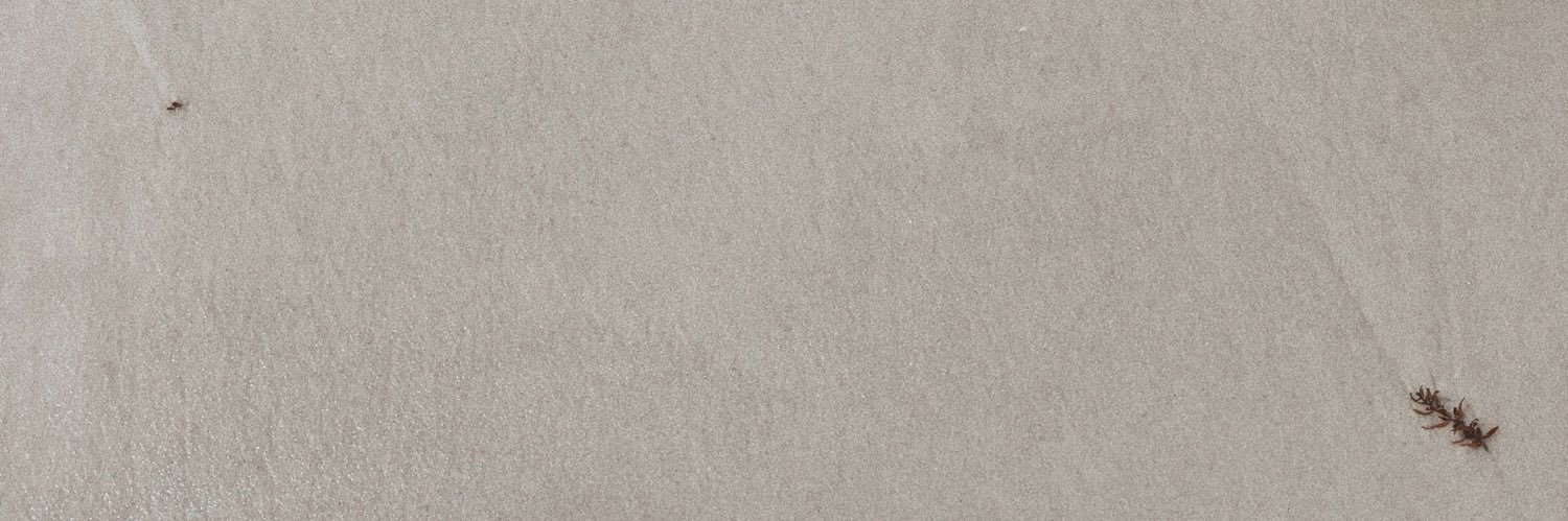 hannahbelzer's profile banner image